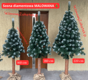 Sosna diamentowa na pniu MALOWANA 🎄