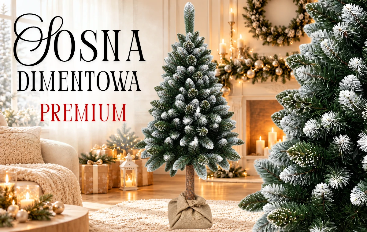 Miejsce na zdjęcie: Sosna diamentowa PREMIUM