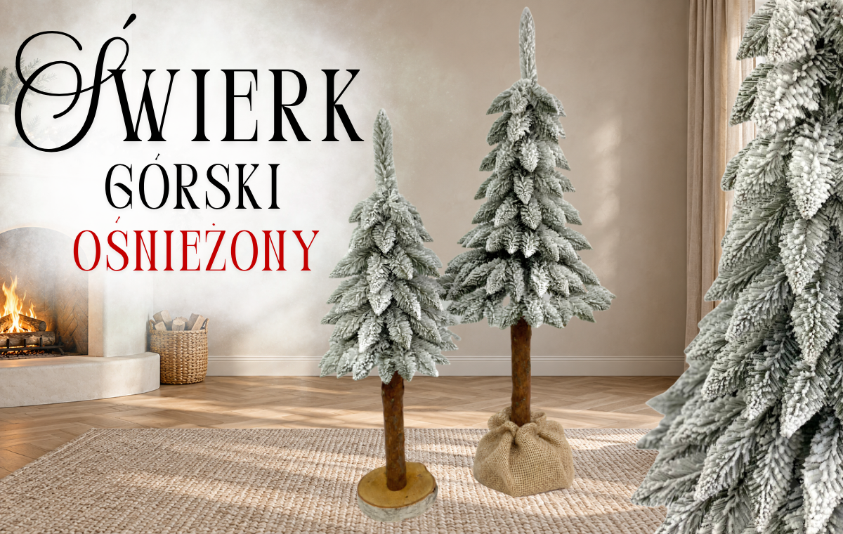 Miejsce na zdjęcie: Sosna górska ośnieżona