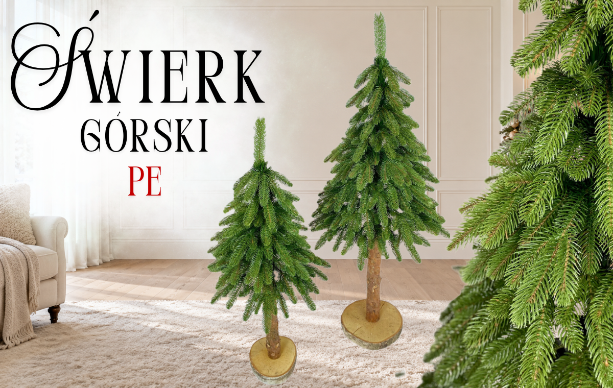 Miejsce na zdjęcie: Świerk górski PE